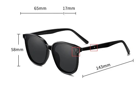 Oversized Polarized Sunglasses SH15