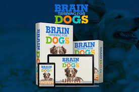 Brain Training For Dogs PL1