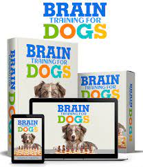 Brain Training For Dogs PL1