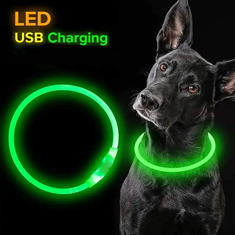 LED Waterproof Dog Collars PL5