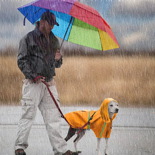 Lente en zomer hondenregenjas PL3