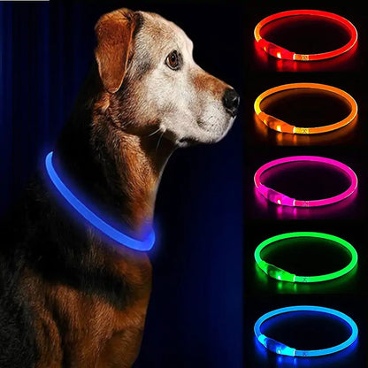 LED Waterproof Dog Collars PL5