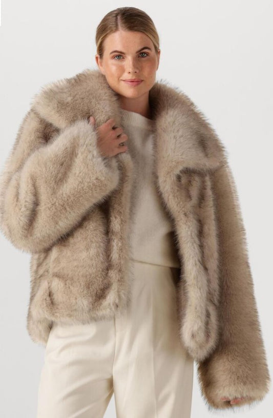 Combined Autumn Set 2 OC-3