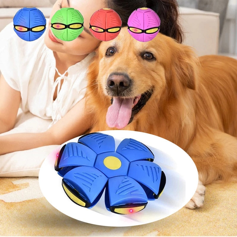 Pets Magic UFO Ball PL2