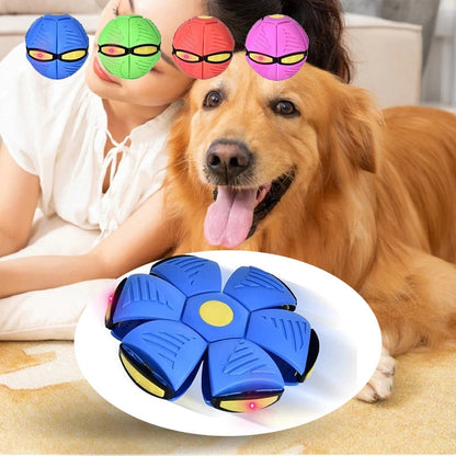 Pets Magic UFO Ball PL2